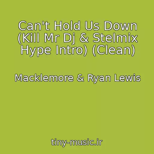 کاور آهنگ Can't Hold Us Down (Kill Mr Dj & Stelmix Hype Intro) (Clean) از Macklemore & Ryan Lewis