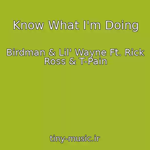 کاور آهنگ Know What I'm Doing از Birdman & Lil' Wayne Ft. Rick Ross & T-Pain