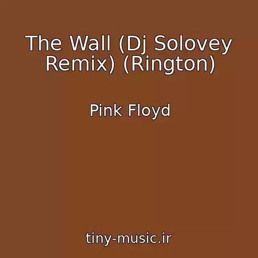 کاور آهنگ The Wall (Dj Solovey Remix) (Rington) از Pink Floyd