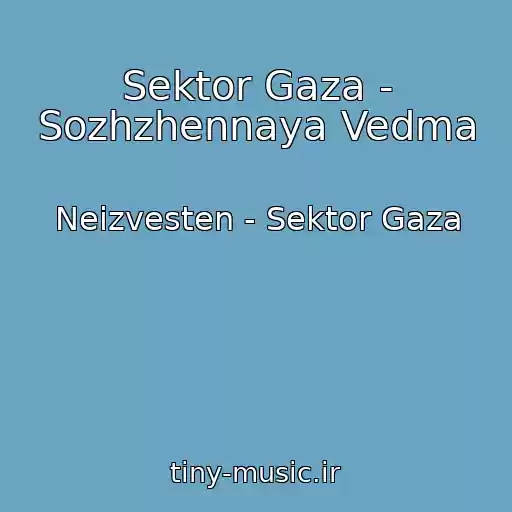 کاور آهنگ Sektor Gaza - Sozhzhennaya Vedma از Neizvesten - Sektor Gaza