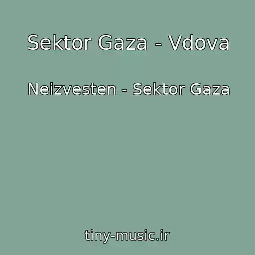 کاور آهنگ Sektor Gaza - Vdova از Neizvesten - Sektor Gaza