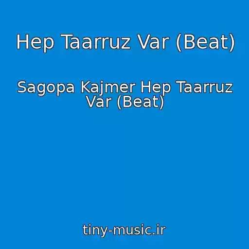 کاور آهنگ Hep Taarruz Var (Beat) از Sagopa Kajmer Hep Taarruz Var (Beat)