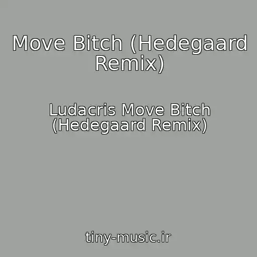 کاور آهنگ Move Bitch (Hedegaard Remix) از Ludacris Move Bitch (Hedegaard Remix)