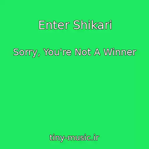 کاور آهنگ Enter Shikari از Sorry, You're Not A Winner