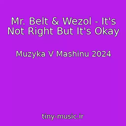 کاور آهنگ Mr. Belt & Wezol - It's Not Right But It's Okay از Muzyka V Mashinu 2024