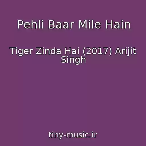 کاور آهنگ Pehli Baar Mile Hain از Tiger Zinda Hai (2017) Arijit Singh