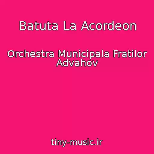 کاور آهنگ Batuta La Acordeon از Orchestra Municipala Fratilor Advahov