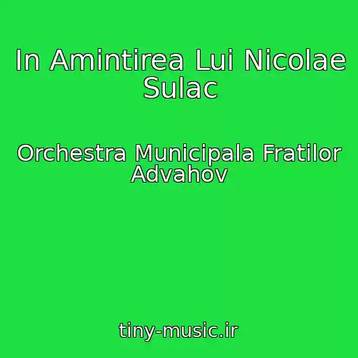 کاور آهنگ In Amintirea Lui Nicolae Sulac از Orchestra Municipala Fratilor Advahov