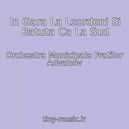 کاور آهنگ In Gara La Leordeni Si Batuta Ca La Sud از Orchestra Municipala Fratilor Advahov