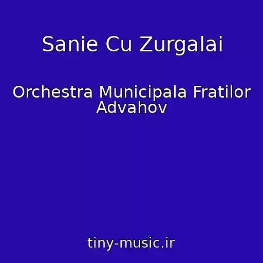 کاور آهنگ Sanie Cu Zurgalai از Orchestra Municipala Fratilor Advahov