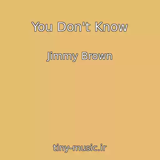 کاور آهنگ You Don't Know از Jimmy Brown