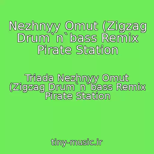 کاور آهنگ Nezhnyy Omut (Zigzag Drum`n`bass Remix Pirate Station از Triada Nezhnyy Omut (Zigzag Drum`n`bass Remix Pirate Station