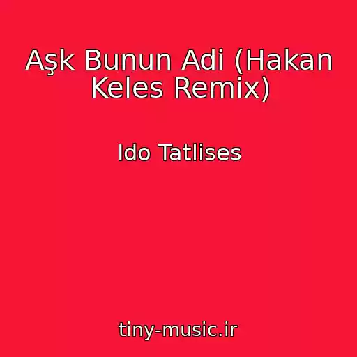 کاور آهنگ Aşk Bunun Adi (Hakan Keles Remix) از Ido Tatlises