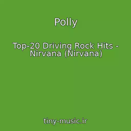 کاور آهنگ Polly از Top-20 Driving Rock Hits - Nirvana (Nirvana)