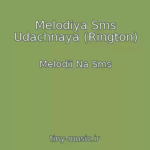 کاور آهنگ Melodiya Sms Udachnaya (Rington) از Melodii Na Sms