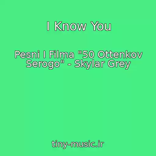 کاور آهنگ I Know You از Pesni I Filma "50 Ottenkov Serogo" - Skylar Grey