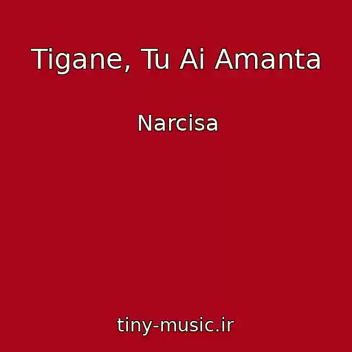 کاور آهنگ Tigane, Tu Ai Amanta از Narcisa
