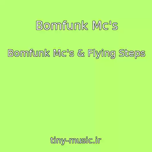 کاور آهنگ Bomfunk Mc's از Bomfunk Mc's & Flying Steps