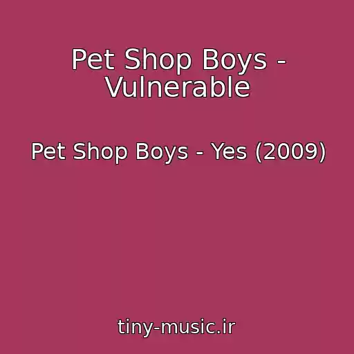 کاور آهنگ Pet Shop Boys - Vulnerable از Pet Shop Boys - Yes (2009)