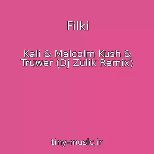 کاور آهنگ Filki از Kali & Malcolm Kush & Truwer (Dj Zulik Remix)