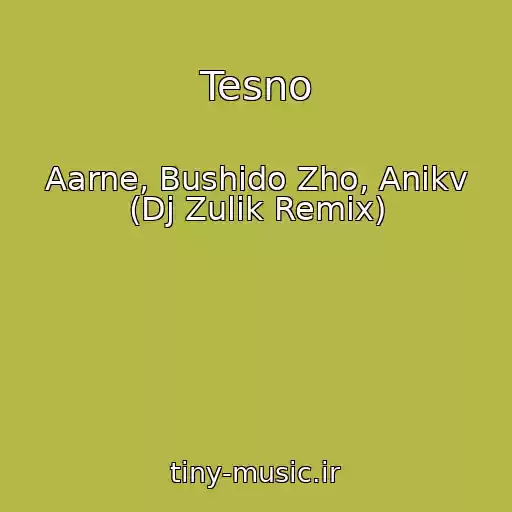 کاور آهنگ Tesno از Aarne, Bushido Zho, Anikv (Dj Zulik Remix)