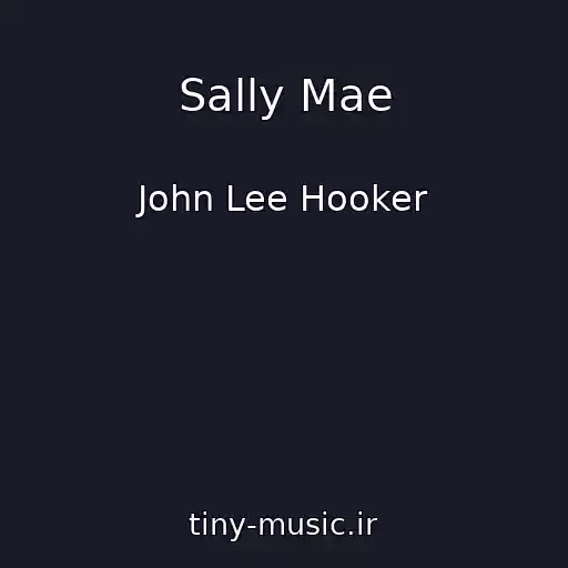 کاور آهنگ Sally Mae از John Lee Hooker