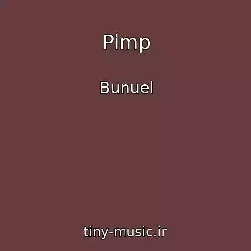 کاور آهنگ Pimp از Bunuel