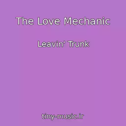 کاور آهنگ The Love Mechanic از Leavin' Trunk