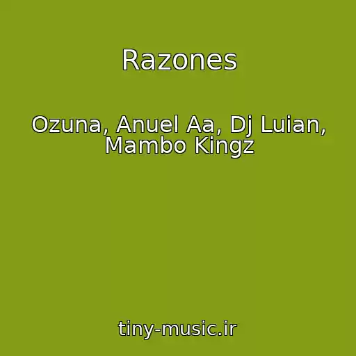 کاور آهنگ Razones از Ozuna, Anuel Aa, Dj Luian, Mambo Kingz
