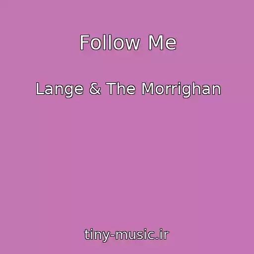 کاور آهنگ Follow Me از Lange & The Morrighan