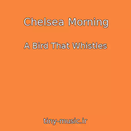 کاور آهنگ Chelsea Morning از A Bird That Whistles
