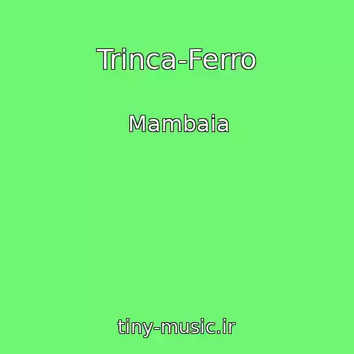 کاور آهنگ Trinca-Ferro از Mambaia