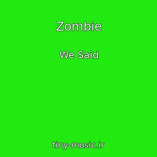کاور آهنگ Zombie از We Said