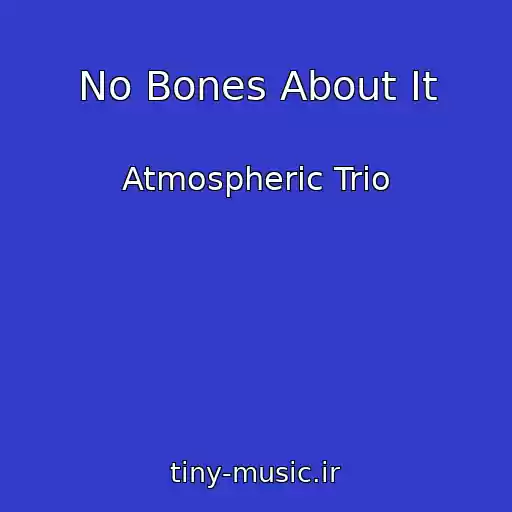 کاور آهنگ No Bones About It از Atmospheric Trio