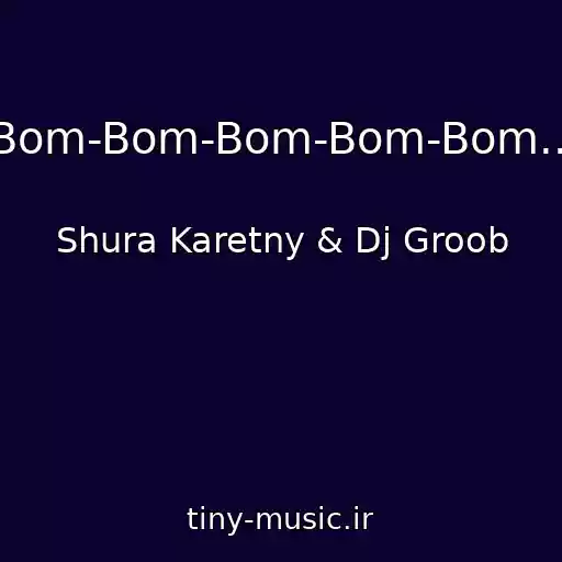 کاور آهنگ Bom-Bom-Bom-Bom-Bom... از Shura Karetny & Dj Groob