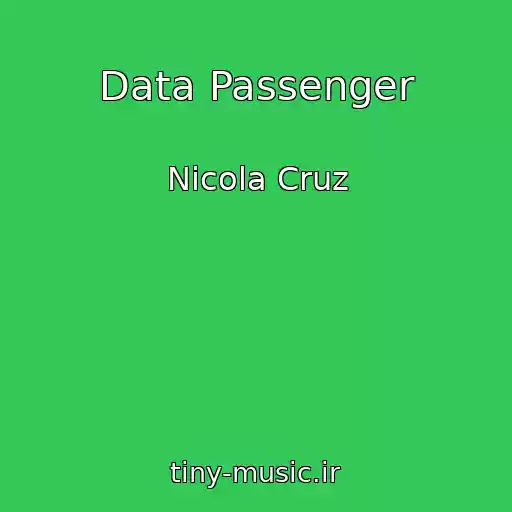 کاور آهنگ Data Passenger از Nicola Cruz