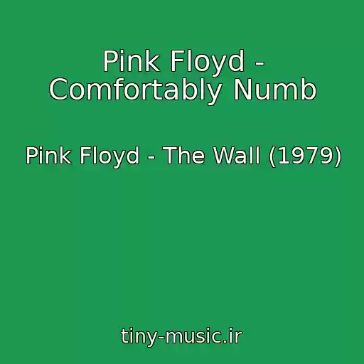 کاور آهنگ Pink Floyd - Comfortably Numb از Pink Floyd - The Wall (1979)