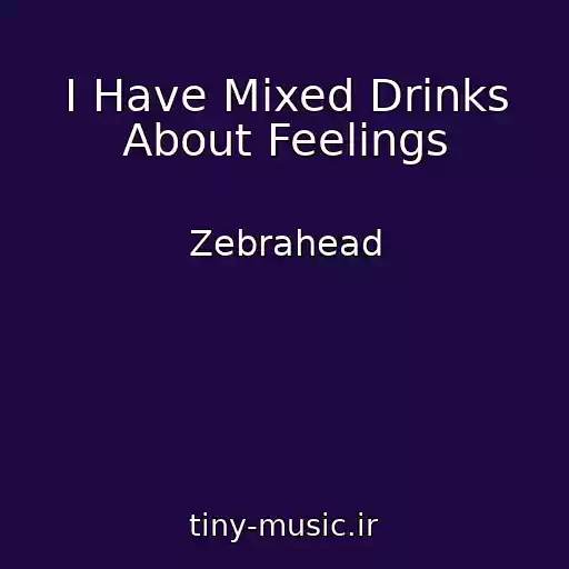 کاور آهنگ I Have Mixed Drinks About Feelings از Zebrahead