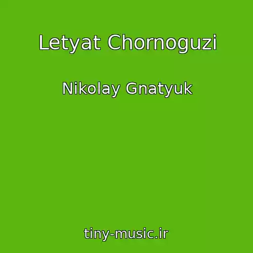 کاور آهنگ Letyat Chornoguzi از Nikolay Gnatyuk