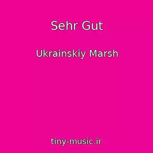کاور آهنگ Sehr Gut از Ukrainskiy Marsh