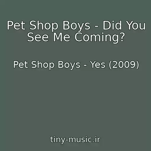 کاور آهنگ Pet Shop Boys - Did You See Me Coming? از Pet Shop Boys - Yes (2009)