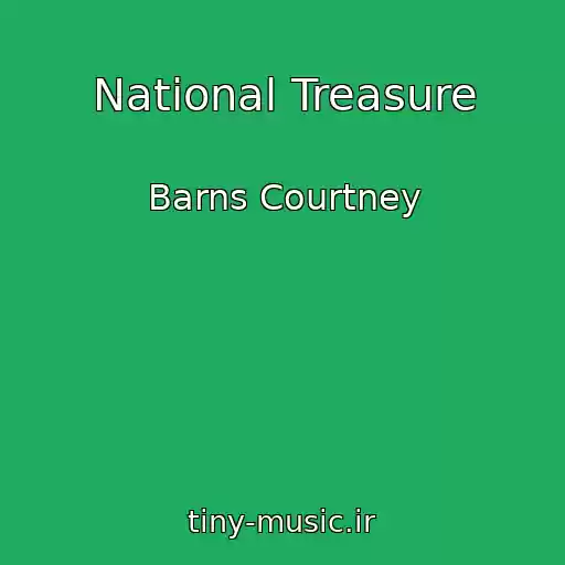 کاور آهنگ National Treasure از Barns Courtney