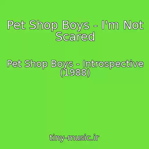 کاور آهنگ Pet Shop Boys - I'm Not Scared از Pet Shop Boys - Introspective (1988)