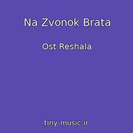 کاور آهنگ Na Zvonok Brata از Ost Reshala