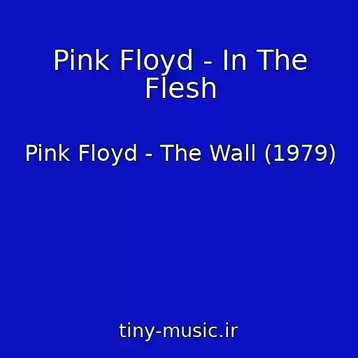 کاور آهنگ Pink Floyd - In The Flesh از Pink Floyd - The Wall (1979)