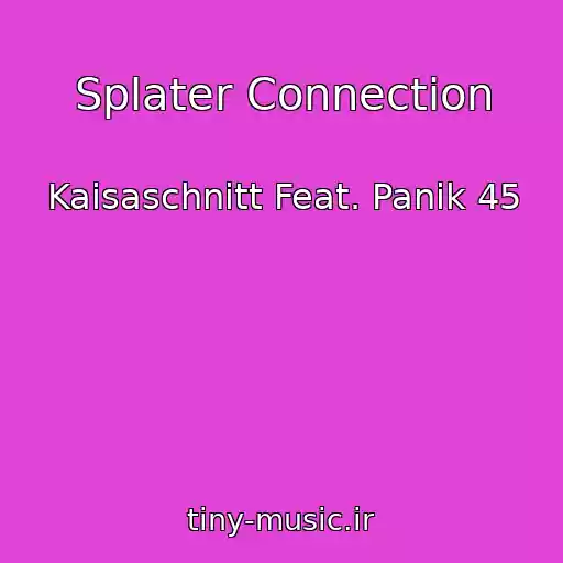 کاور آهنگ Splater Connection از Kaisaschnitt Feat. Panik 45