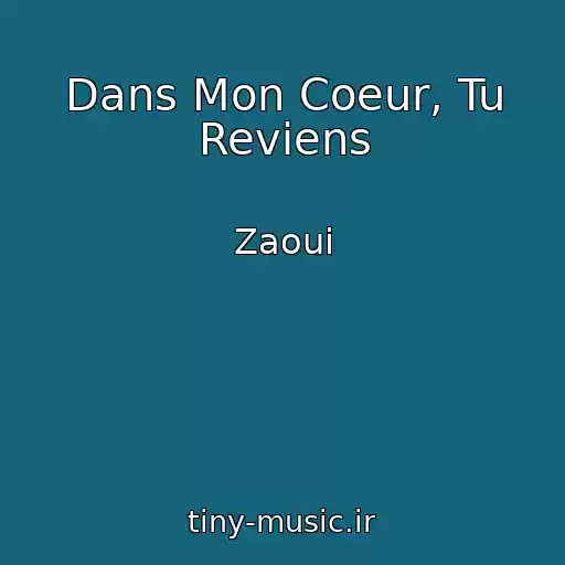 کاور آهنگ Dans Mon Coeur, Tu Reviens از Zaoui