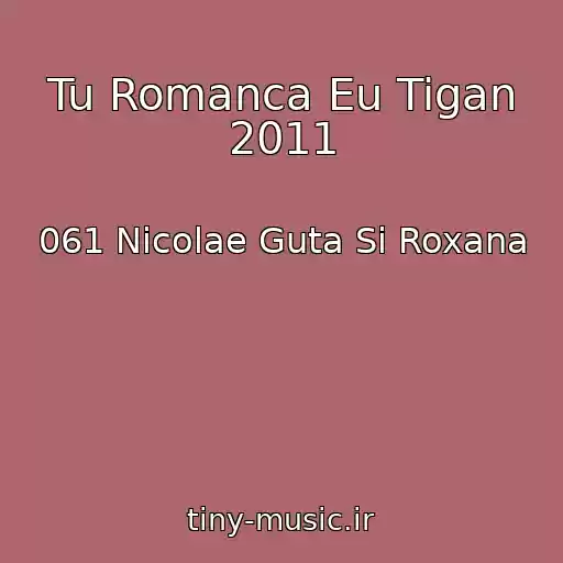 کاور آهنگ Tu Romanca Eu Tigan 2011 از 061 Nicolae Guta Si Roxana