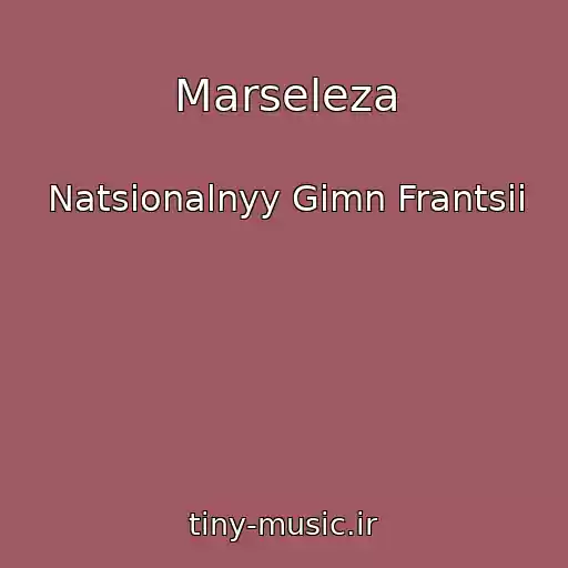 کاور آهنگ Marseleza از Natsionalnyy Gimn Frantsii