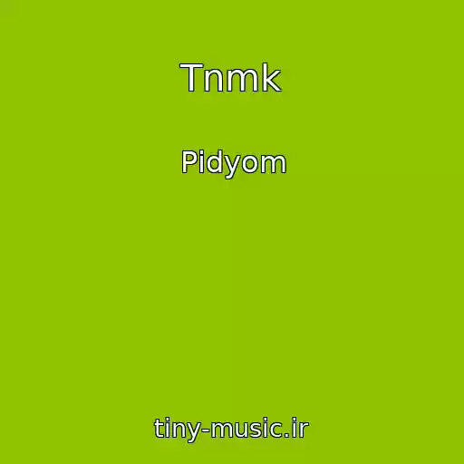 کاور آهنگ Tnmk از Pіdyom